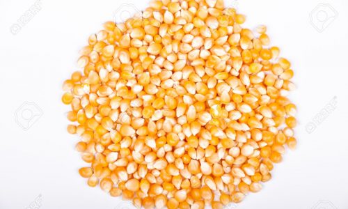 38283533-background-of-yellow-maize-corn-kernels-ready-for-making-popcorn